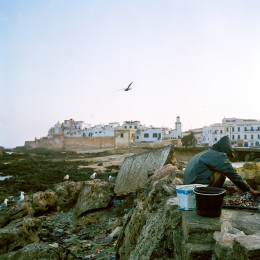 Essaouria Fisherman
