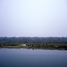 Narayani River
